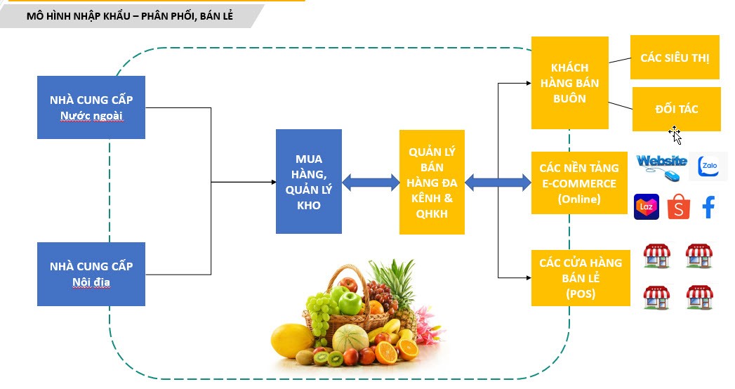 mô hình nhập khẩu-phân phối, bán lẻ đa kênh