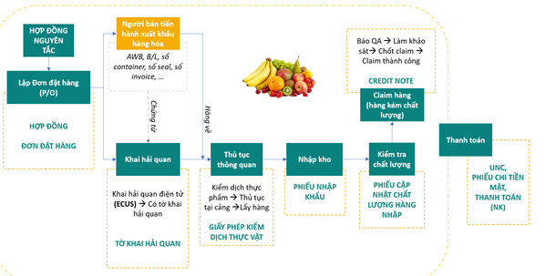 Quy trình nhập khẩu hàng hóa điển hình