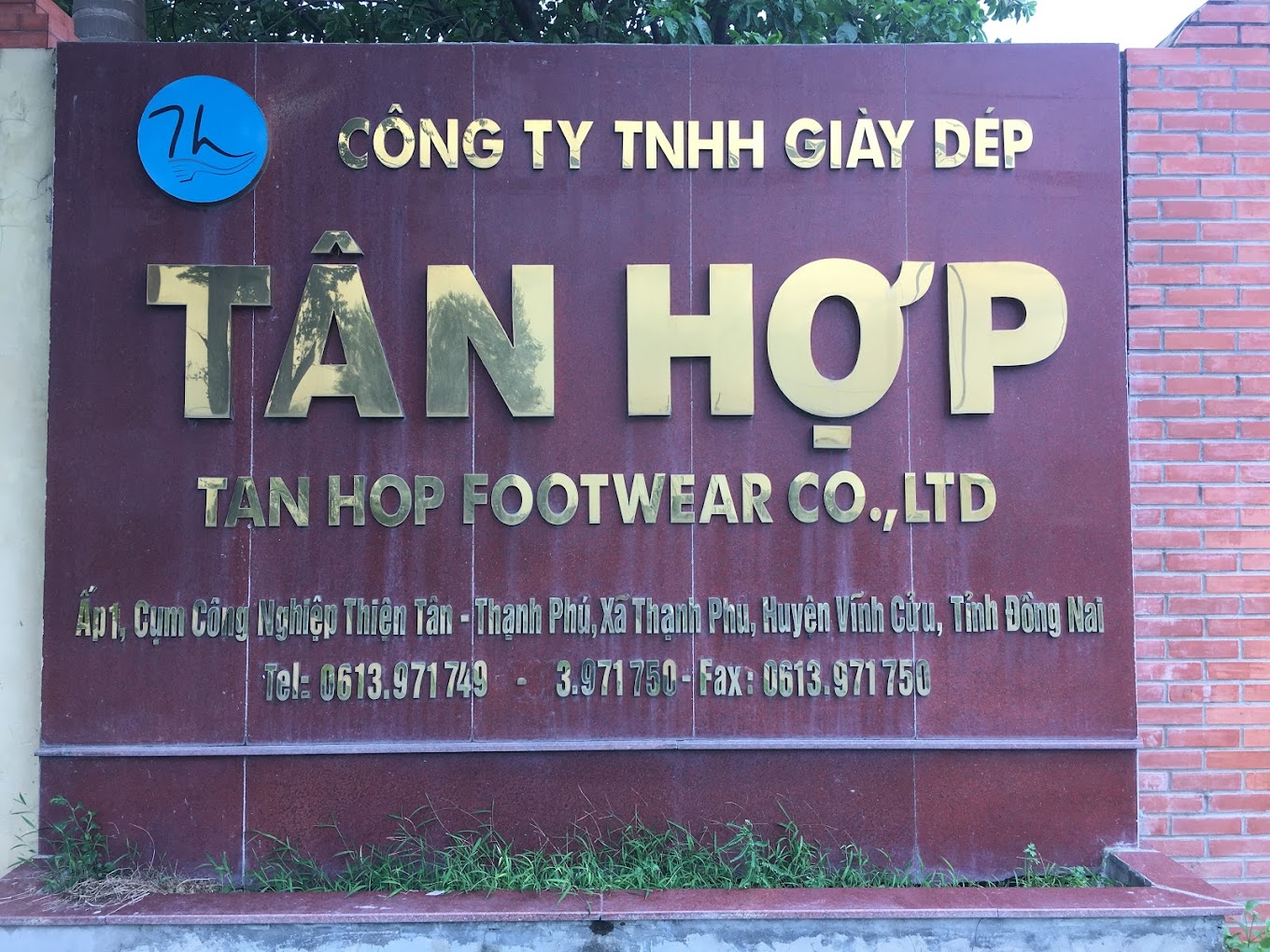 Tân Hợp